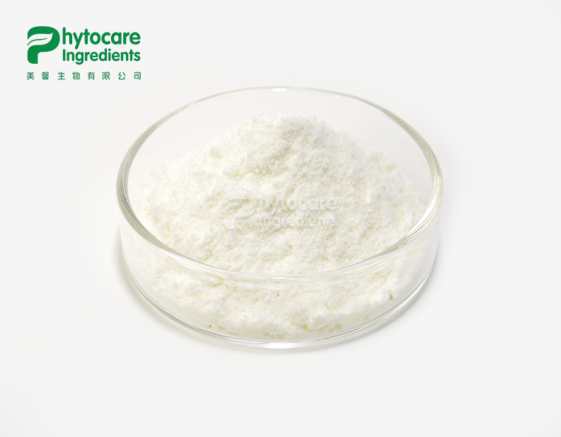 Pumpkin Seed Oil Powder